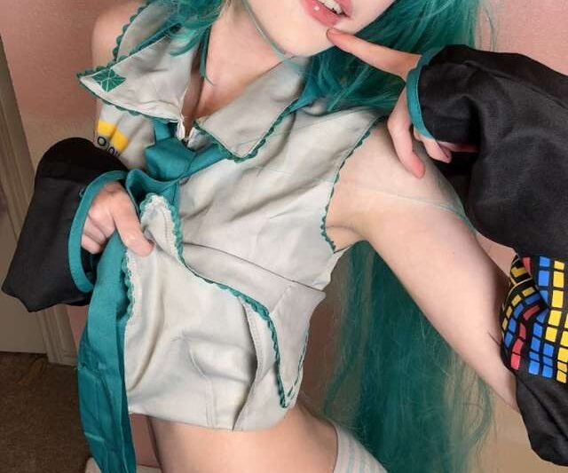 Sammynoodlesoup – Hatsune Miku